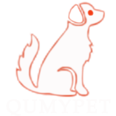 www.qumypet.com