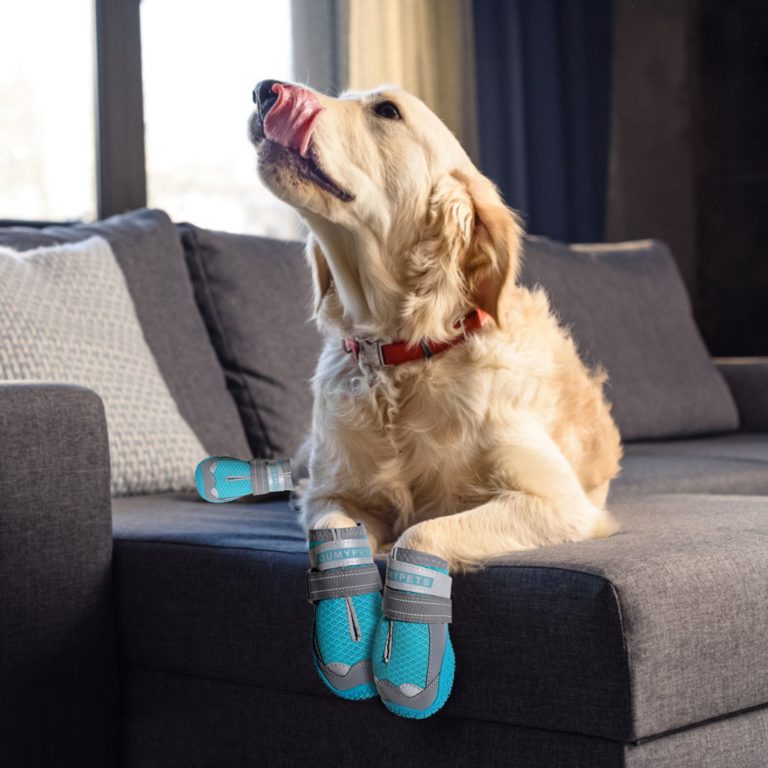 QUMY Dog Shoes for Hot Pavement Boots for Dogs Summer Booties Heat