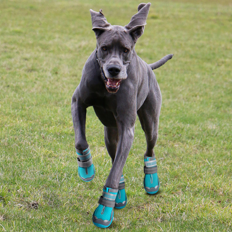 QUMY Dog Shoes for Hot Pavement Boots for Dogs Summer